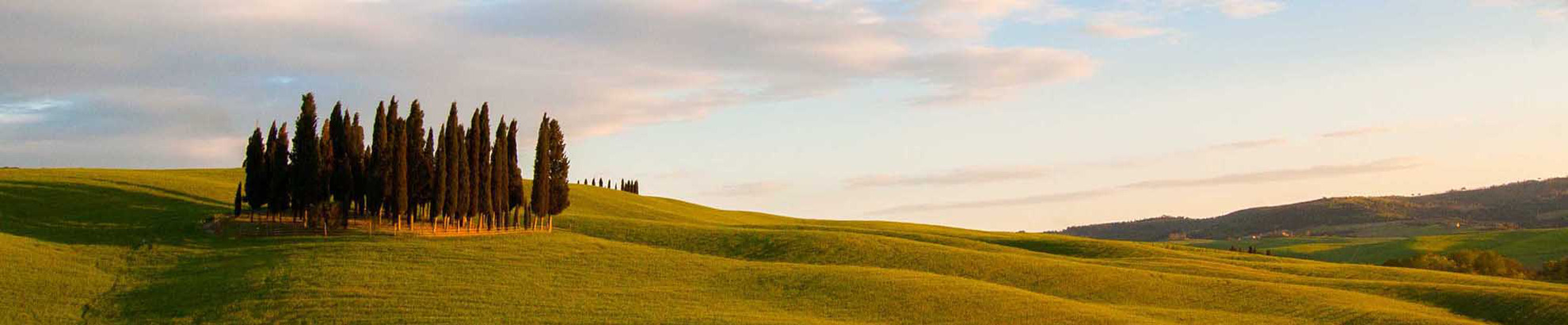 Bike Tour Siena